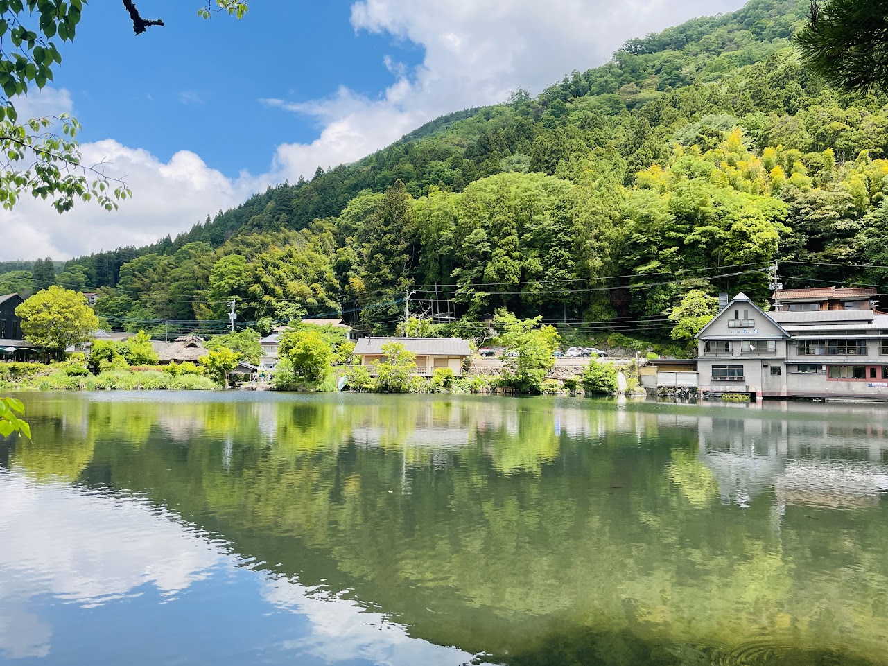 金鱗湖